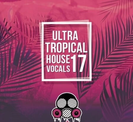 Vandalism Ultra Tropical House Vocals 17 WAV